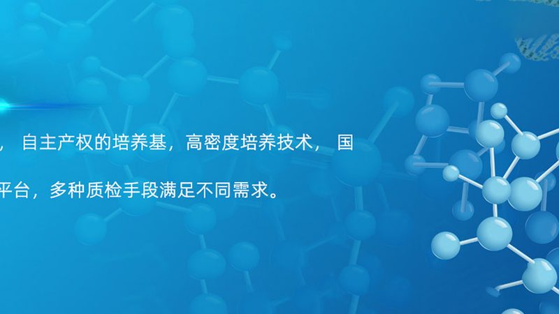 抗体生物制品研发外包：揭秘价格背后的考量因素**
