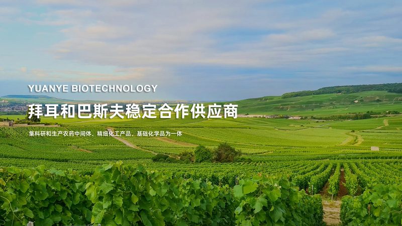 小标题：误区一：盲目追求品牌知名度