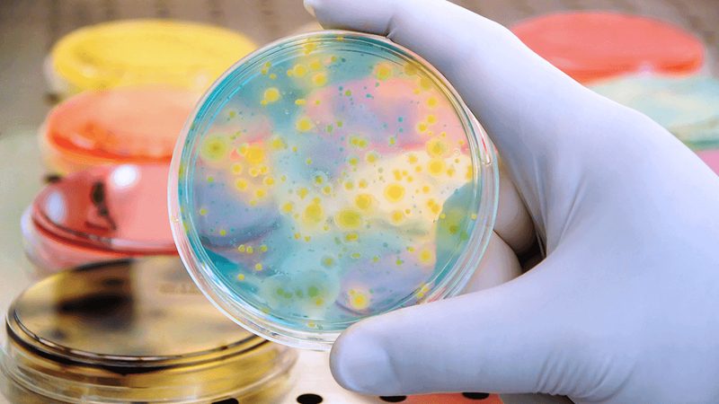 酶报价单：解码生物科研中的关键文件**