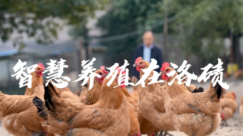 实验室耗材材质参数标准