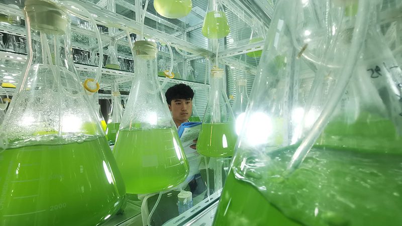 生物科技研发流程优化：揭秘高效研发之道